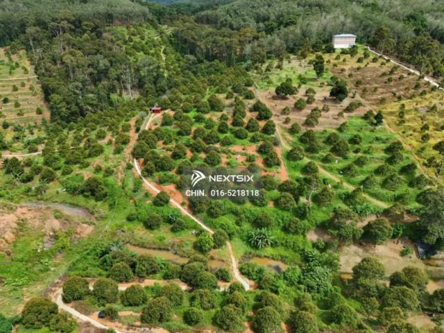 Residential House for sale in Kuching, Sarawak