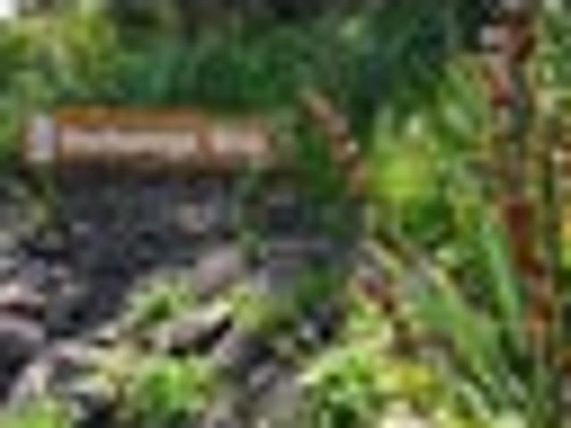 Land for sale in Northland