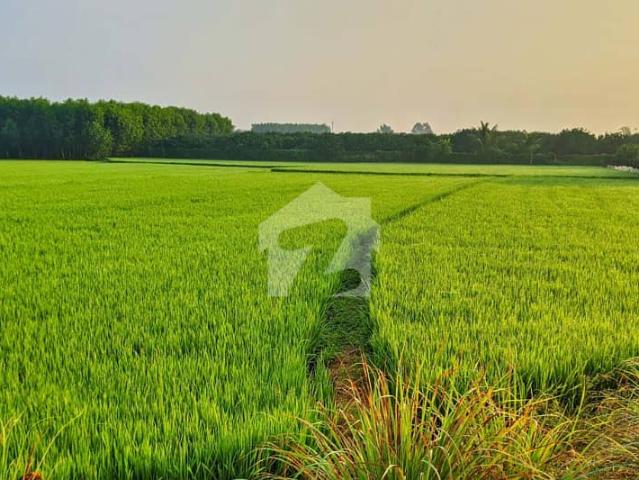 Property for sale in Lahore Cantt, Islamabad Capital Territory