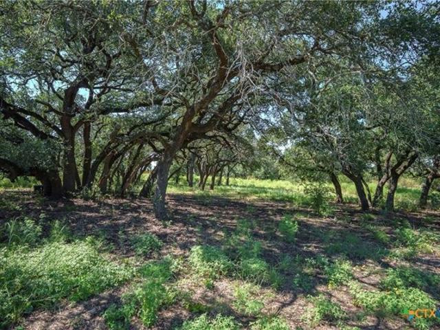 Land for sale in Gatesville, Texas