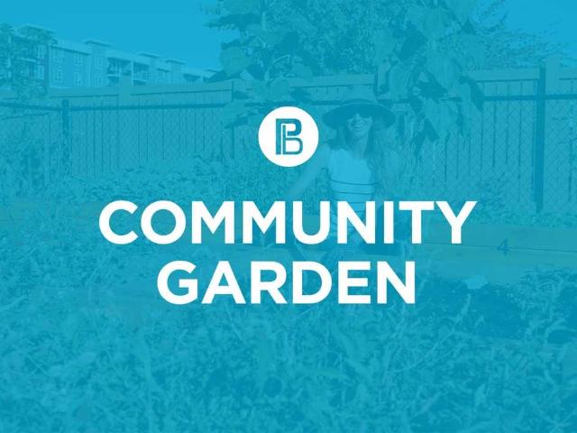Apartment for rent in Parksville, British Columbia