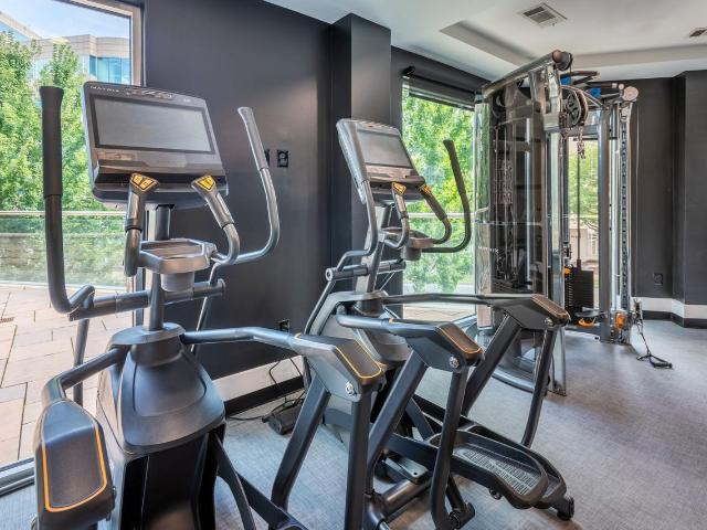 Apartment for rent in Mecklenburg, North Carolina