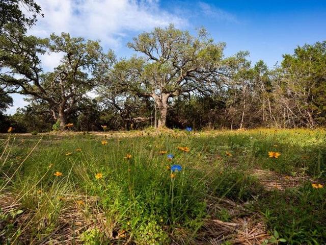 Land for sale in Hays, Texas