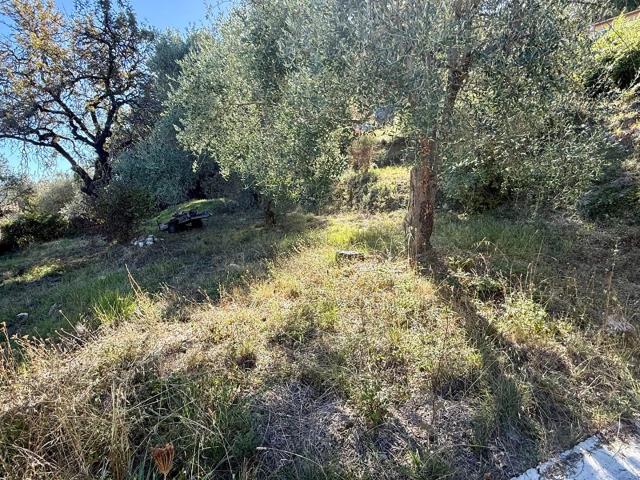Terrain vente à Grasse, Gattières