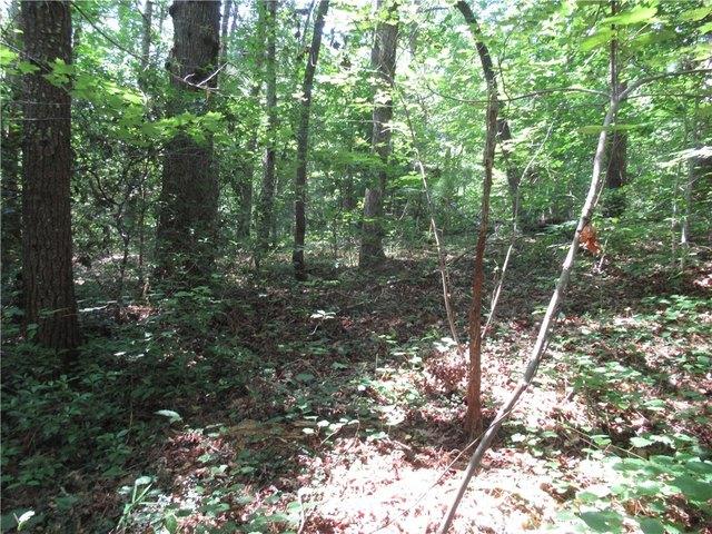 Land for sale in Pickens, South Carolina