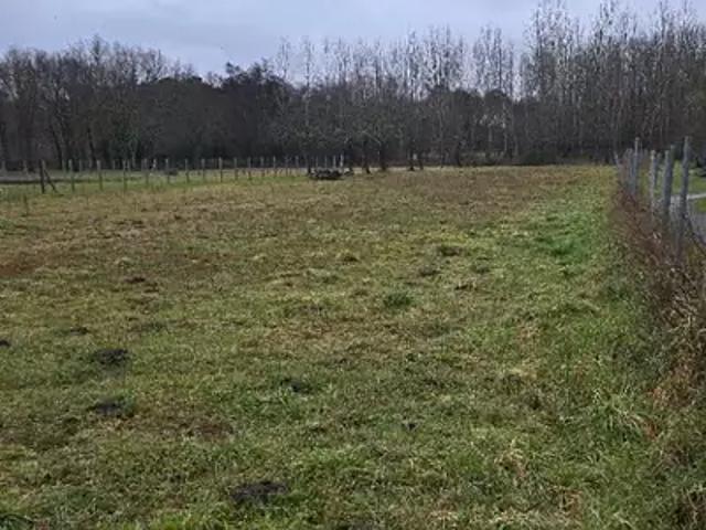 Terrain vente à Gauriaguet, Gironde