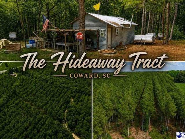 Land for sale in Coward, South Carolina