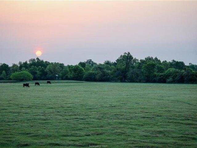 Land for sale in Milam, Texas