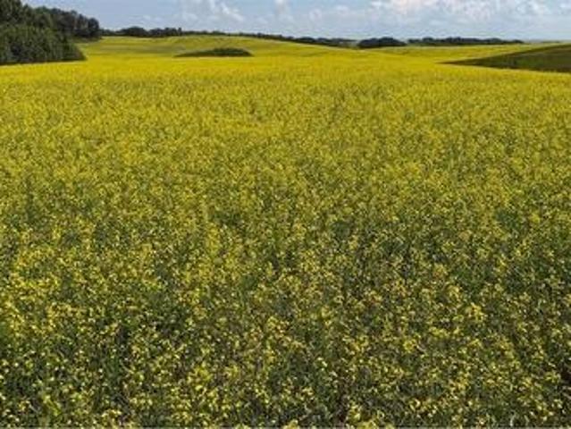 Farm for sale in Keys No. 303, Saskatchewan