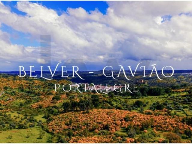Terreno venda em Gavião, Portalegre