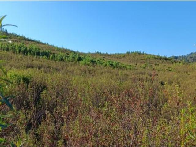 Terreno alugar em Gavião, Portalegre
