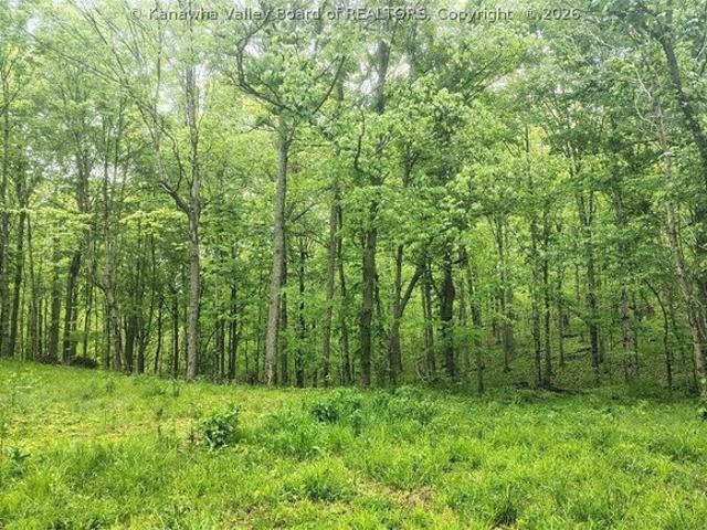 Land for sale in Cottageville, West Virginia