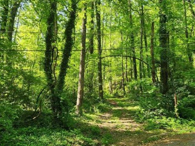 Land for sale in Tennessee