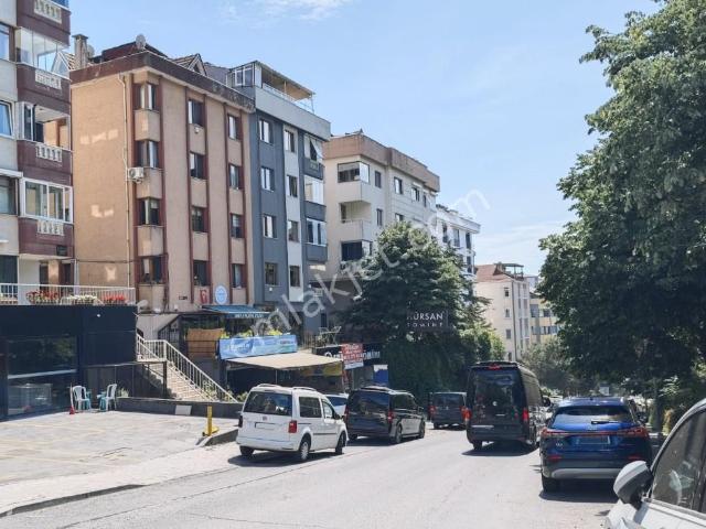 Beşiktaş, İstanbul içerisinde kiralık mülk