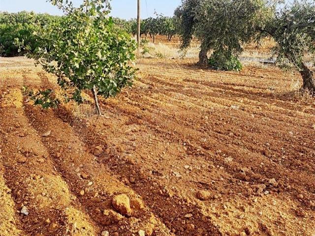 Nizip, Gaziantep içerisinde satılık Arsa