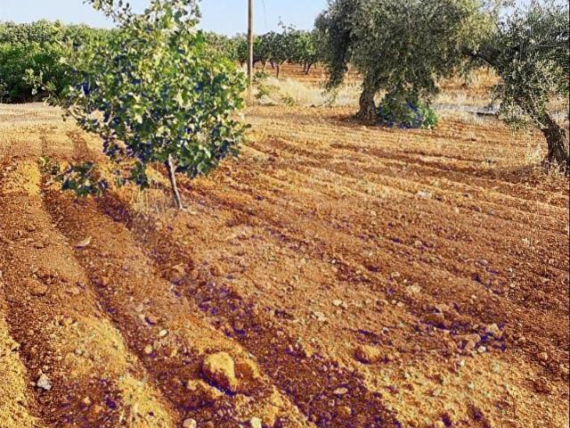 Nizip, Gaziantep içerisinde satılık Arsa