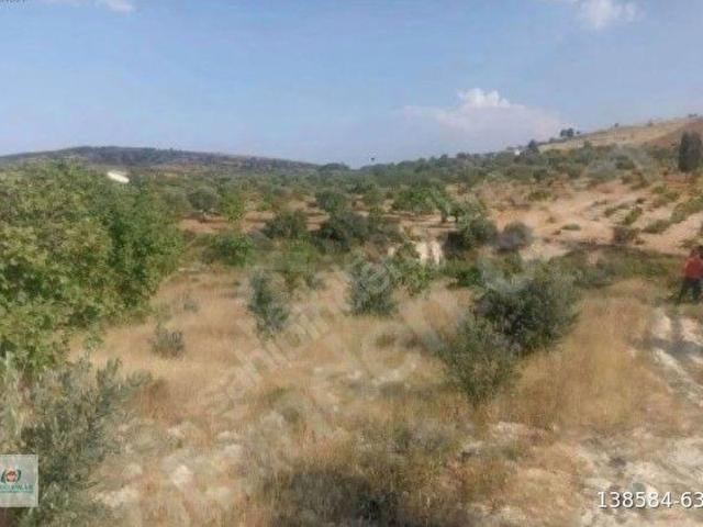 Oğuzeli, Gaziantep içerisinde satılık mülk