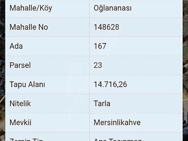 Menderes, İzmir içerisinde satılık Arsa