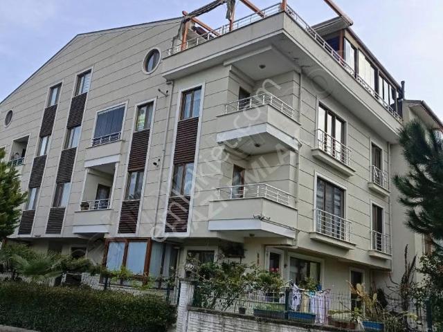Yalova Merkez, Yalova içerisinde kiralık mülk