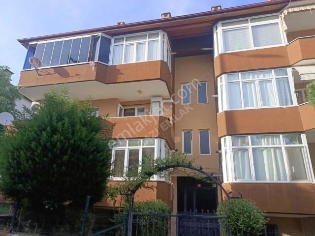 Yalova Merkez, Yalova içerisinde kiralık mülk