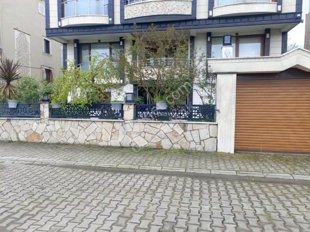 Yalova Merkez, Yalova içerisinde kiralık mülk