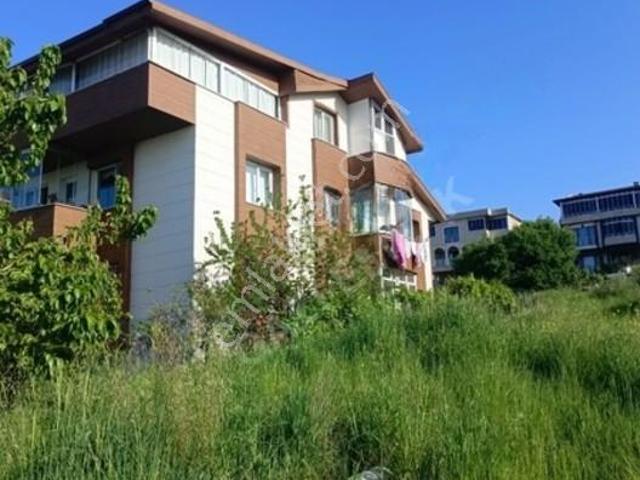 Yalova Merkez, Yalova içerisinde kiralık mülk