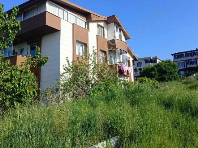 Yalova Merkez, Yalova içerisinde kiralık mülk