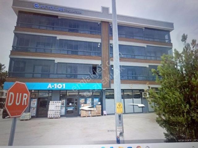 Yalova Merkez, Yalova içerisinde kiralık mülk