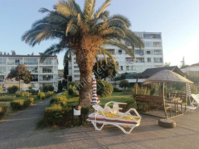 Çiftlikköy, Yalova içerisinde satılık mülk