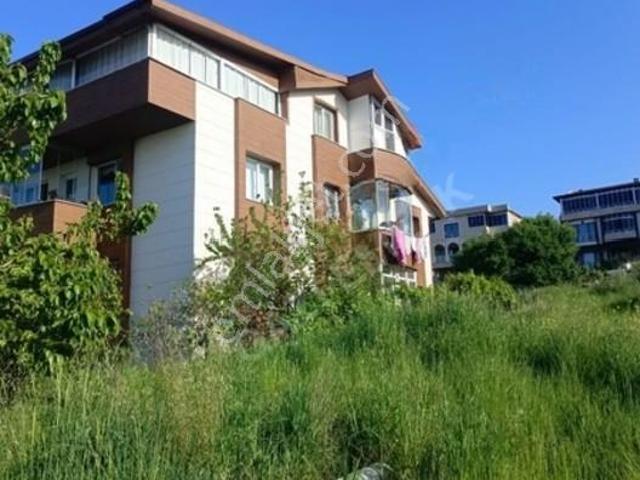 Yalova Merkez, Yalova içerisinde kiralık mülk