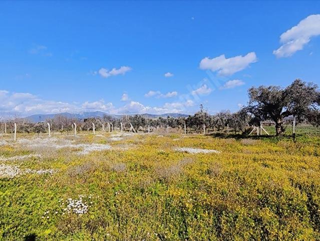Torbali, İzmir içerisinde satılık Arsa
