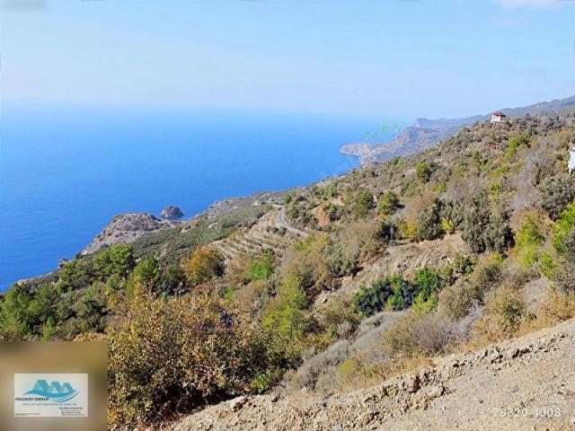 Gazipaşa, Antalya içerisinde satılık Arsa