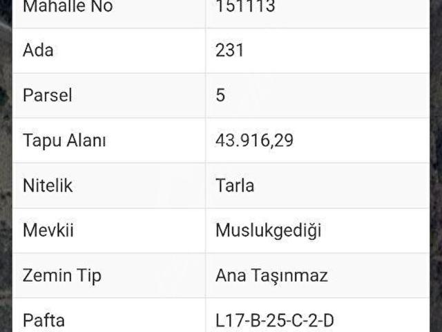 Çatalca Mahallesi, Menderes içerisinde satılık Arsa
