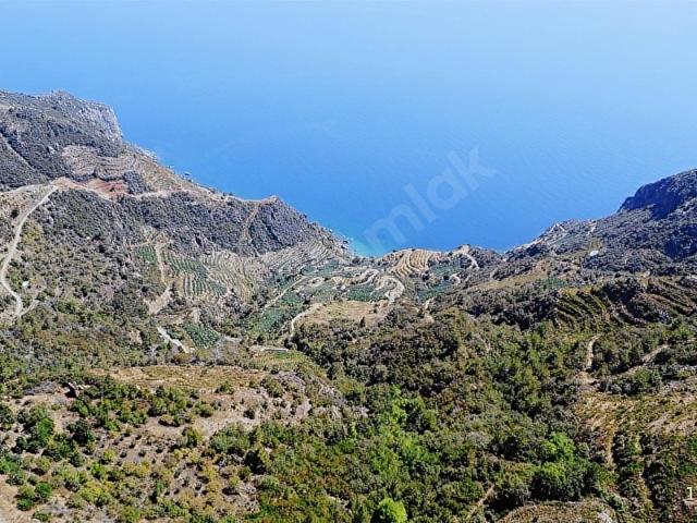 Gazipaşa, Antalya içerisinde satılık Arsa