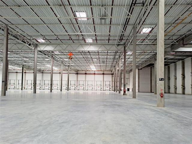 Komercyjne do wynajęcia w Gdańsk, Pomorskie