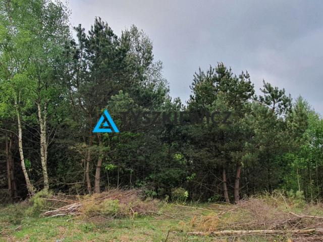Grunt na sprzedaż w Gdańsk, Pomorskie