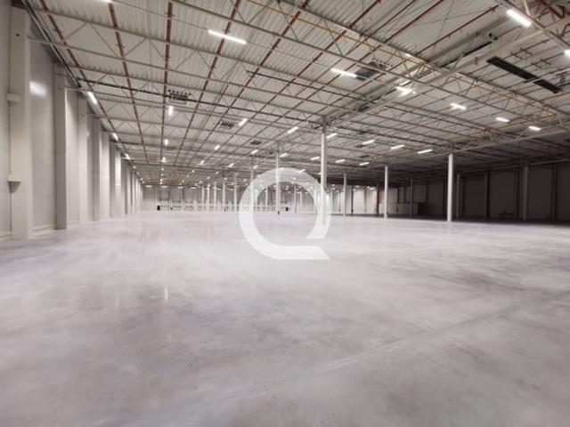 Komercyjne do wynajęcia w Gdańsk, Pomorskie