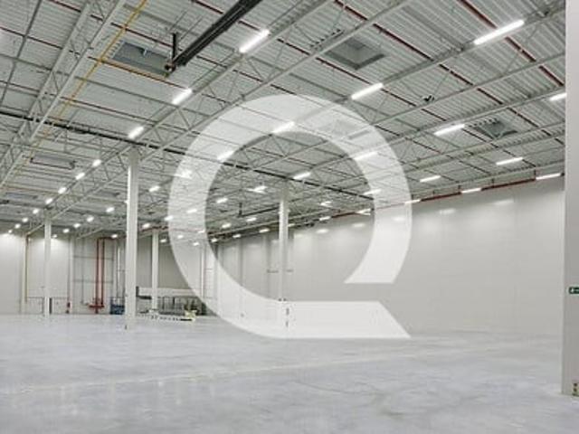 Komercyjne do wynajęcia w Gdańsk, Pomorskie