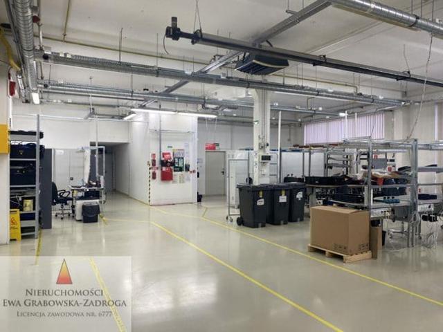 Komercyjne do wynajęcia w Gdańsk, Pomorskie