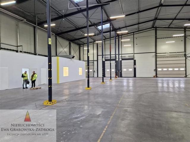 Komercyjne do wynajęcia w Gdańsk, Pomorskie