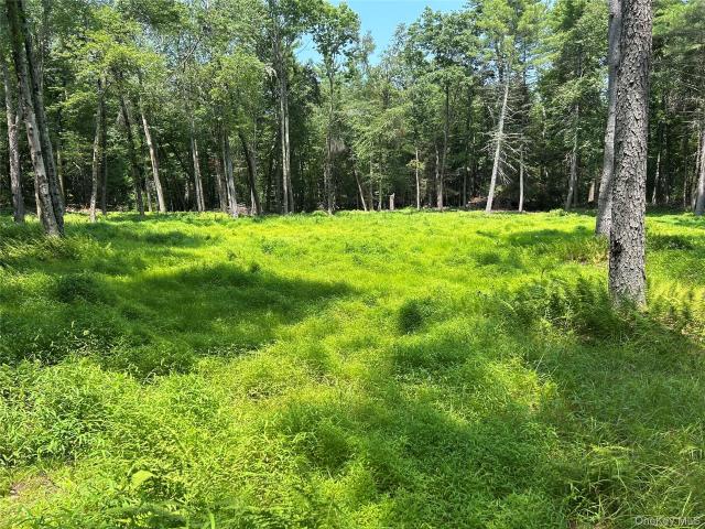 Land for sale in Glen Spey, New York