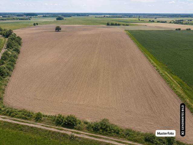 Landwirtschaft kaufen in Innenstadt, Ingelheim am Rhein