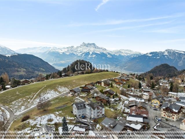 Einfamilienhaus kaufen in Leysin, Waadt
