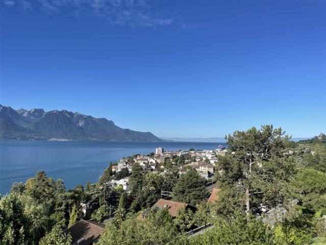 Einfamilienhaus kaufen in Chailly-Montreux, Waadt