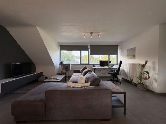 Appartement location à Wechelderzande, Lille