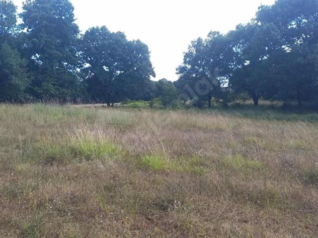 Gebze, Kocaeli içerisinde satılık Arsa