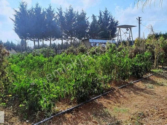Gebze içerisinde satılık Villa