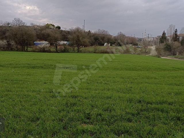 Mollafenari Mahallesi, Gebze içerisinde satılık Arsa