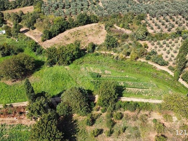 Gemlik, Bursa içerisinde satılık mülk