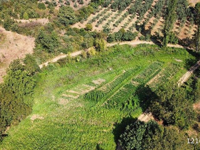 Orhangazi, Bursa içerisinde satılık mülk
